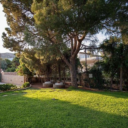 Sounio Panoramic Loft Διαμέρισμα Σούνιο Εξωτερικό φωτογραφία